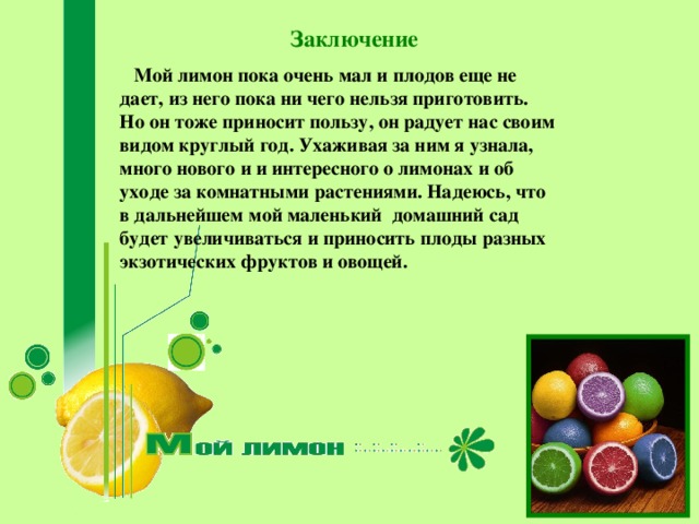 Заключение  Мой лимон пока очень мал и плодов еще не дает, из него пока ни чего нельзя приготовить. Но он тоже приносит пользу, он радует нас своим видом круглый год. Ухаживая за ним я узнала, много нового и и интересного о лимонах и об уходе за комнатными растениями. Надеюсь, что в дальнейшем мой маленький домашний сад будет увеличиваться и приносить плоды разных экзотических фруктов и овощей.