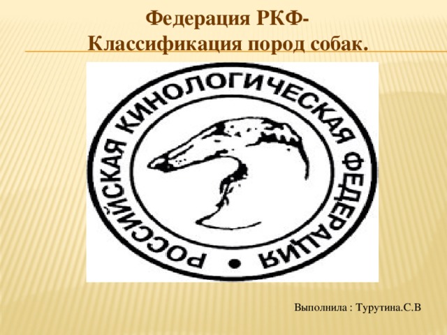 Российская Кинологическая Федерация. Федерации РКФ. Классификация пород РКФ. Породы собак РКФ.