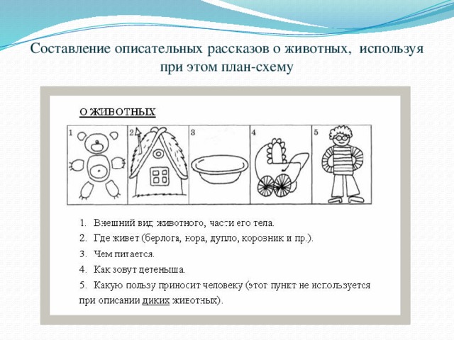 Составление описательных рассказов о животных, используя при этом план-схему