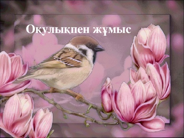 Оқулықпен жұмыс