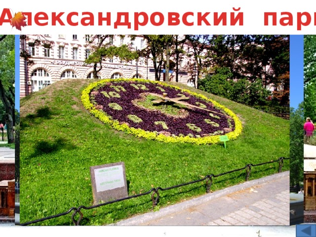 Александровский парк