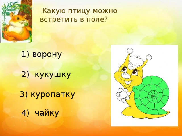 Какую птицу можно встретить в поле? 1) ворону 2) кукушку 3) куропатку 4) чайку