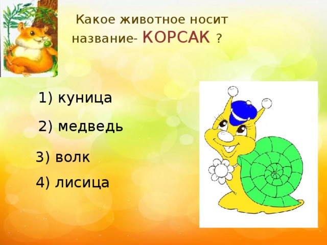 Какое животное носит название- КОРСАК ? 1) куница 2) медведь 3) волк 4) лисица