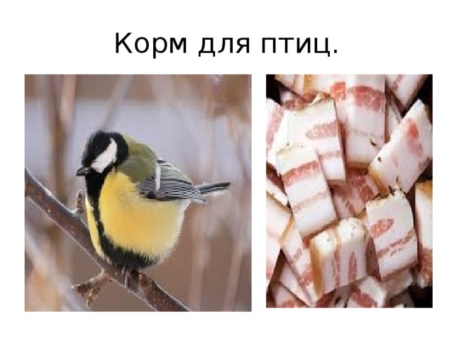 Корм для птиц.