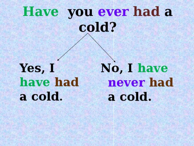 Have you ever  had a cold?    No, I have never had a cold. Yes, I have had a cold .
