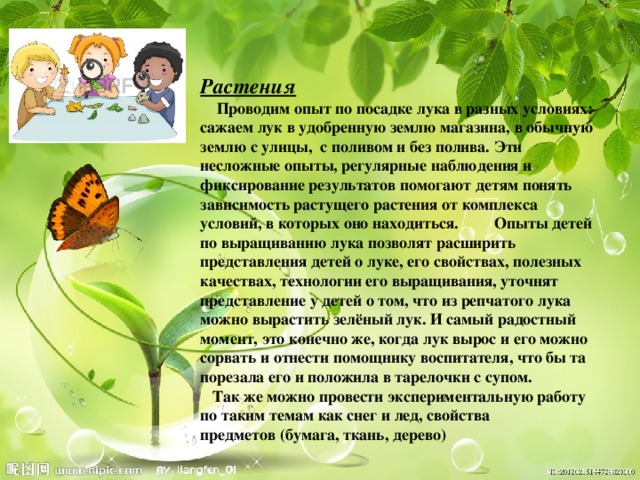 Растения  Проводим опыт по посадке лука в разных условиях: сажаем лук в удобренную землю магазина, в обычную землю с улицы, с поливом и без полива. Эти несложные опыты, регулярные наблюдения и фиксирование результатов помогают детям понять зависимость растущего растения от комплекса условий, в которых оно находиться.  Опыты детей по выращиванию лука позволят расширить представления детей о луке, его свойствах, полезных качествах, технологии его выращивания, уточнят представление у детей о том, что из репчатого лука можно вырастить зелёный лук. И самый радостный момент, это конечно же, когда лук вырос и его можно сорвать и отнести помощнику воспитателя, что бы та порезала его и положила в тарелочки с супом.  Так же можно провести экспериментальную работу по таким темам как снег и лед, свойства предметов (бумага, ткань, дерево)