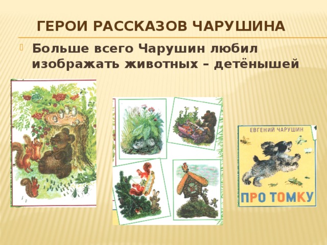 Герои рассказов Чарушина Больше всего Чарушин любил изображать животных – детёнышей