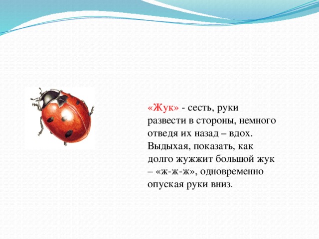 «Жук» - сесть, руки развести в стороны, немного отведя их назад – вдох. Выдыхая, показать, как долго жужжит большой жук – «ж-ж-ж», одновременно опуская руки вниз .