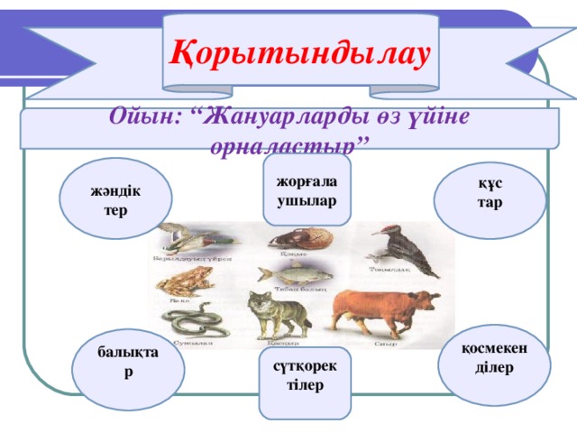 Қорытындылау Ойын: “Жануарларды өз үйіне орналастыр” жорғалаушылар жәндік тер құс тар  қосмекен ділер  балықтар  сүтқорек тілер