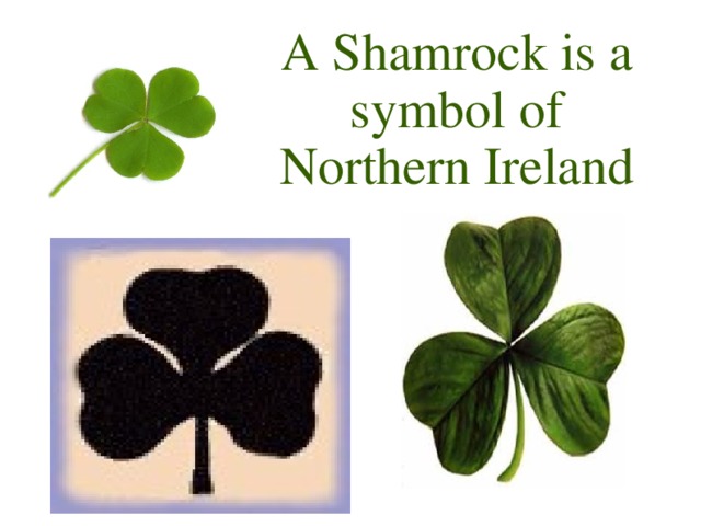 A Shamrock is a symbol of Northern Ireland