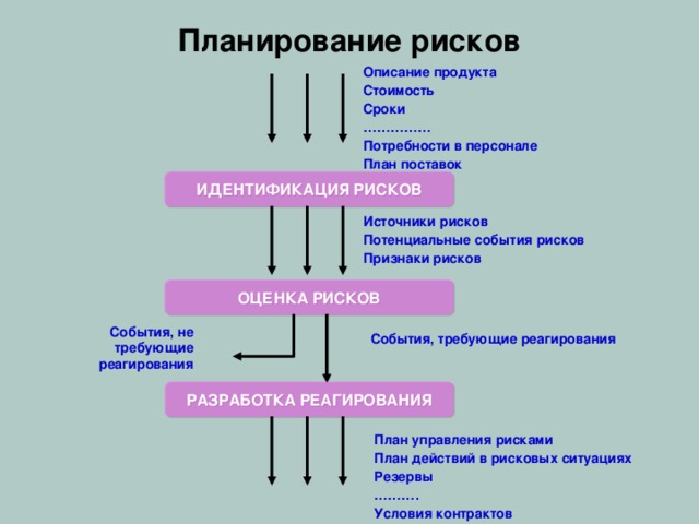 Структура проекта по информатике