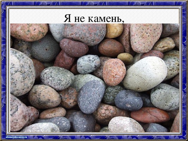 Я не камень,