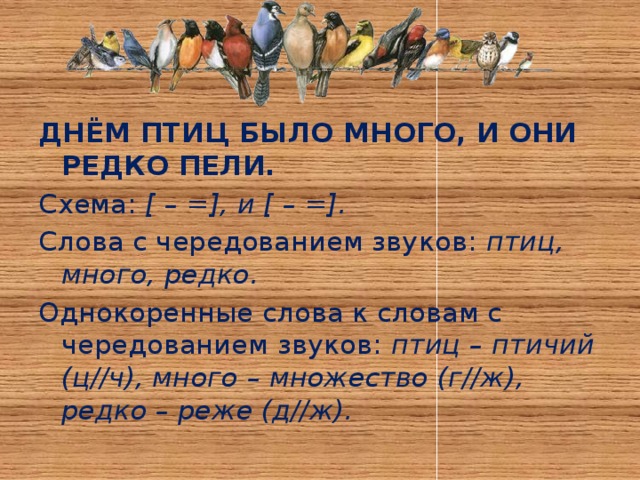 ДНЁМ ПТИЦ БЫЛО МНОГО, И ОНИ РЕДКО ПЕЛИ. Схема: [ – =], и [ – =]. Слова с чередованием звуков: птиц, много, редко. Однокоренные слова к словам с чередованием звуков: птиц – птичий (ц//ч), много – множество (г//ж), редко – реже (д//ж).