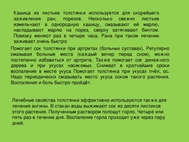 Кашица из листьев толстянки используется для скорейшего заживления ран, порезов. Несколько свежих листьев измельчают в однородную кашицу, смазывают ей марлю, накладывают марлю на порез, сверху затягивают бинтом. Повязку меняют раз в четыре часа. Рана при таком лечении заживает очень быстро Помогает сок толстянки при артритах (больных суставах). Регулярно смазывая больные места (каждый вечер перед сном), можно постепенно избавиться от артрита. Также помогает сок денежного дерева и при укусах насекомых. Снимает в кратчайшие сроки воспаление в месте укуса Помогает толстянка при укусах пчёл, ос. Надо периодически смазывать место укуса соком такого растения. Воспаление и боль быстро пройдёт. Лечебные свойства толстянки эффективно используются также для лечения ангины. В стакан воды выжимают сок из десяти листиков этого растения. Полученным раствором полощут горло. Четыре или пять раз в течение дня. Воспаление горла проходит уже через пару дней.