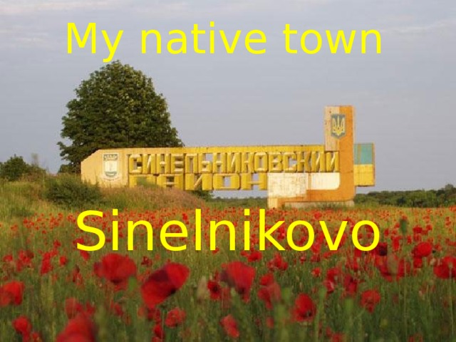 My native town Sinelnikovo