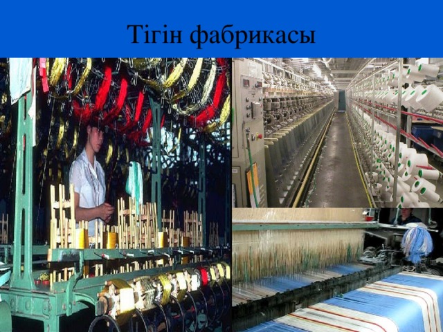 Тігін фабрикасы
