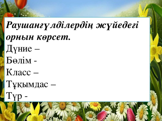 Раушангүлділердің жүйедегі орнын көрсет.  Дүние –  Бөлім -  Класс –  Тұқымдас –  Түр -