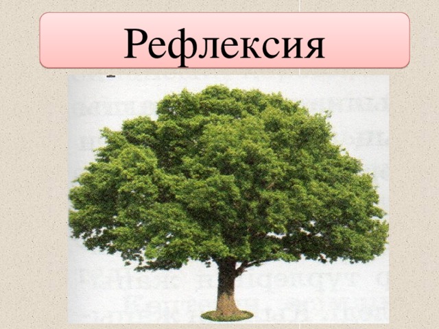 Рефлексия