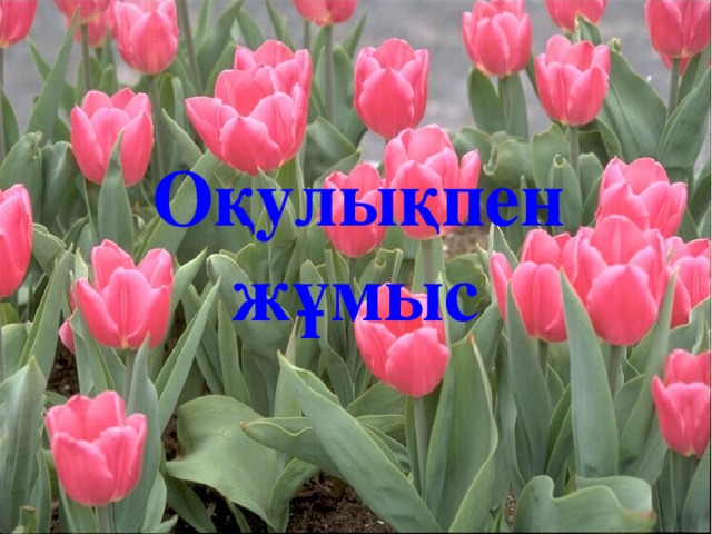 Оқулықпен  жұмыс