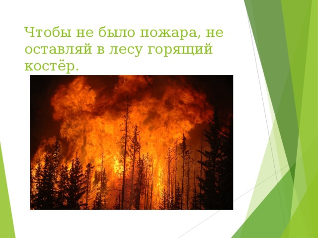 Чтобы не было пожара, не оставляй в лесу горящий костёр.