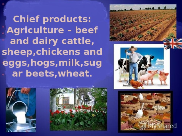 Chief products: Agriculture – beef and dairy cattle, sheep,chickens and eggs,hogs,milk,sugar beets,wheat.