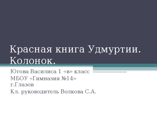 Красная книга Удмуртии. Колонок. Югова Василиса 1 «в» класс МБОУ «Гимназия №14» г.Глазов Кл. руководитель Волкова С.А.