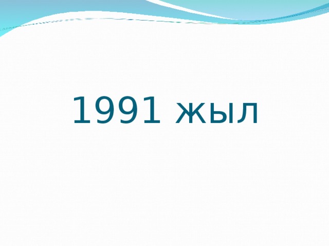 1991 жыл