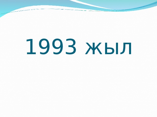 1993 жыл