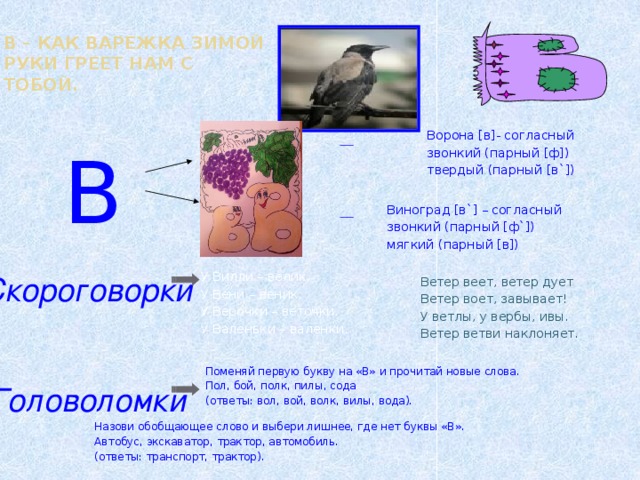 В – как варежка зимой  руки греет нам с тобой. Ворона [в]- согласный звонкий (парный [ф]) твердый (парный [в`]) В Виноград [в`] – согласный звонкий (парный [ф`]) мягкий (парный [в])  У Вилли – велик,  У Вени – веник,  У Верочки – веточки,  У Валеньки – валенки. Скороговорки Ветер веет, ветер дует Ветер воет, завывает! У ветлы, у вербы, ивы. Ветер ветви наклоняет. Поменяй первую букву на «В» и прочитай новые слова. Пол, бой, полк, пилы, сода (ответы: вол, вой, волк, вилы, вода). Головоломки Назови обобщающее слово и выбери лишнее, где нет буквы «В». Автобус, экскаватор, трактор, автомобиль. (ответы: транспорт, трактор).