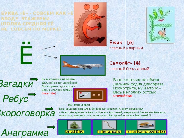 Буква «Ё» - совсем как «Е»  Вроде этажерки  (Полка средняя её  Не совсем по мерке).    Ё Ёжик – [ё] гласный ударный Самолёт– [ё] гласный безударный Быть колючим не обязан Загадки Быть колючим не обязан Дальний родич дикобраза. Дальний родич дикобраза. Посмотрите, ну и что ж – Посмотрите, ну и что ж – Весь в иголках острых ... Ответ (Ёж) Весь в иголках острых ... Ответ (Ёлка) Ответ (Ёж) Ребус  ЁЖ, ЁРШ И ЕНОТ. Ёрш Ершович ершился. Ёж Ежович ежился. А енот ехидничал: - Не ест ёж ершей, а ёжится! Не ест ёрш ежей, а ершится! Зачем же ёжиться, ершиться, ерепениться, если не ест ёж ершей и не ест ёрш ежей?! Скороговорка Анаграмма