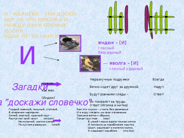 И – калитка – три доски.  Вот на что похожа И.  Между двух прямых досок  Одна легла наискосок.   И индюк – [И] гласный безударный иволга – [И] гласный ударный  Неразлучные подружки Всегда на всех  Вечно ходят друг за дружкой. Надут, как мех.  Будут ровными следы – Ответ (Индюк)  Их похвалят за труды.  Ответ (Иголка и нитка)  Загадки Игра 