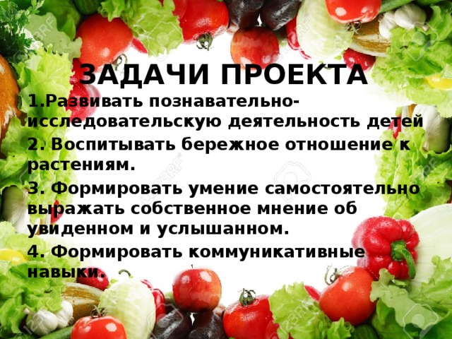 ЗАДАЧИ ПРОЕКТА 1.Развивать познавательно-исследовательскую деятельность детей 2. Воспитывать бережное отношение к растениям. 3. Формировать умение самостоятельно выражать собственное мнение об увиденном и услышанном. 4. Формировать коммуникативные навыки.