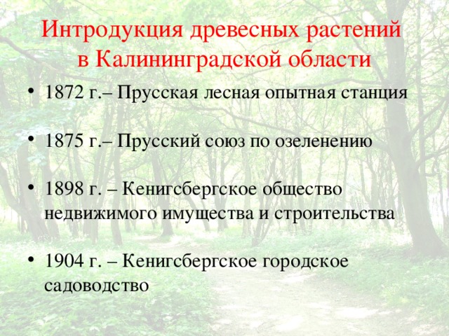 Интродукция древесных растений  в Калининградской области