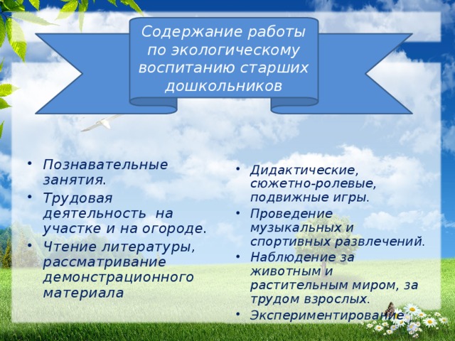 Содержание работы по экологическому воспитанию старших дошкольников