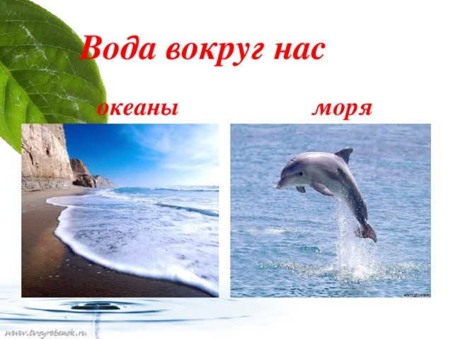 Вода вокруг нас  океаны моря