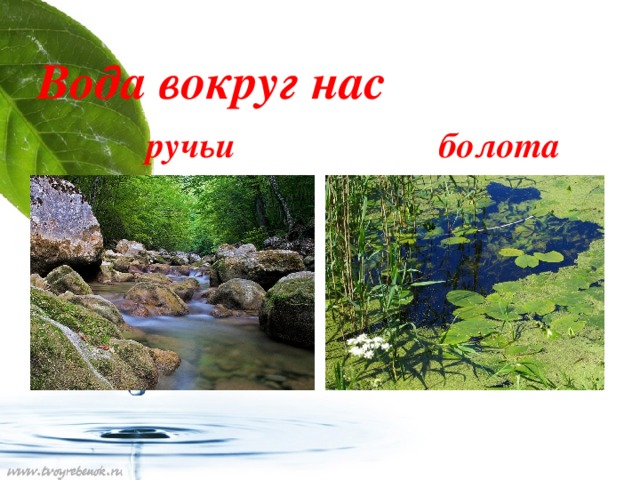 Вода вокруг нас  ручьи болота