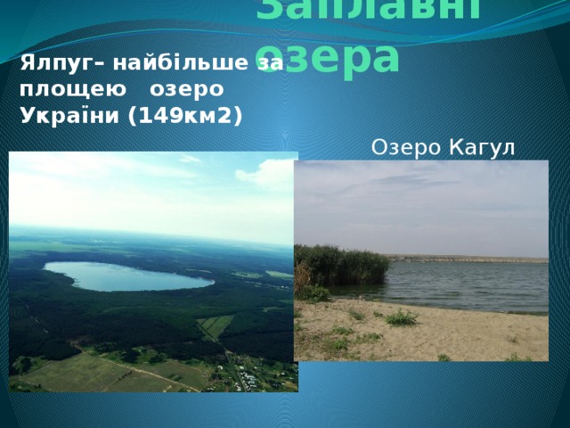 Заплавні озера Ялпуг– найбільше за площею озеро України (149км2) Озеро Кагул