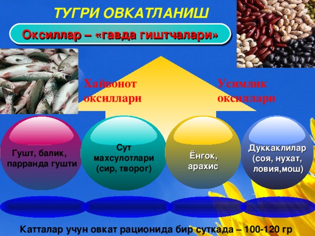 ТУГРИ ОВКАТЛАНИШ Оксиллар – «гавда гиштчалари» Хайвонот оксиллари Усимлик оксиллари  Ёнгок, арахис  Сут махсулотлари(сир, творог) Дуккаклилар (соя, нухат, ловия,мош)  Гушт, балик, парранда гушти Катталар учун овкат рационида бир суткада – 100-120 гр