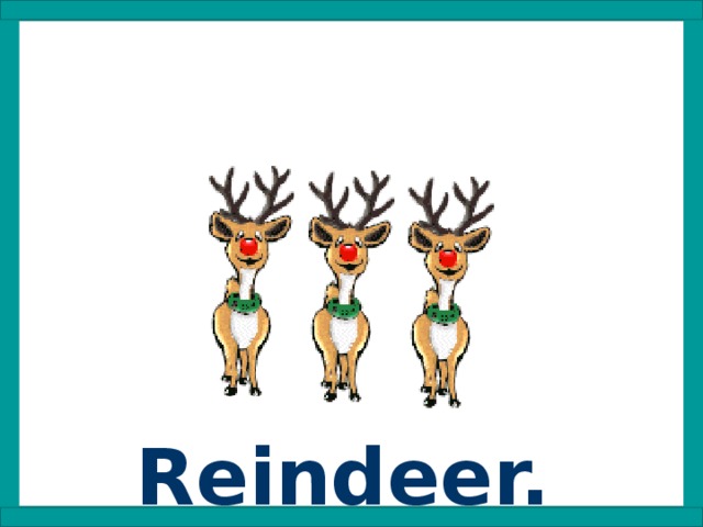 Reindeer.