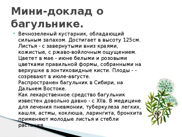 Мини сообщение. Мини доклад. Мини реферат. Мини сообщение на тему. Мини доклад на тему.