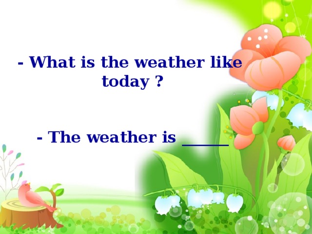 - What is the weather like today ?   - The weather is ______