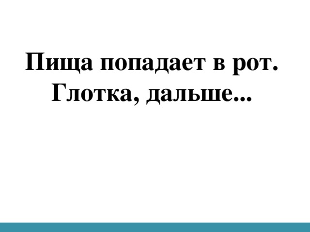 Пища попадает в рот.  Глотка, дальше...