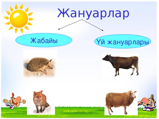 Жануарлар Жабайы Үй жануарлары