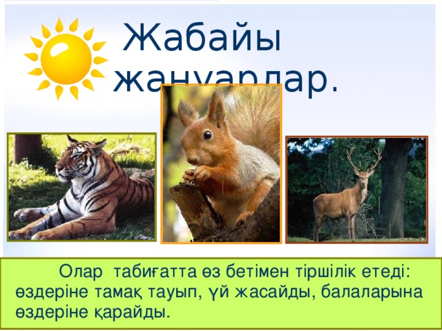 Жабайы жануарлар.     Олар табиғатта өз бетімен тіршілік етеді: өздеріне тамақ тауып, үй жасайды, балаларына өздеріне қарайды.