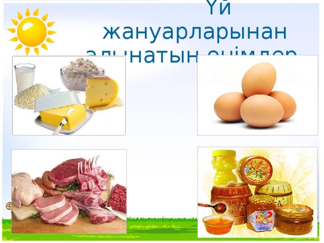 Үй жануарларынан алынатын өнімдер.