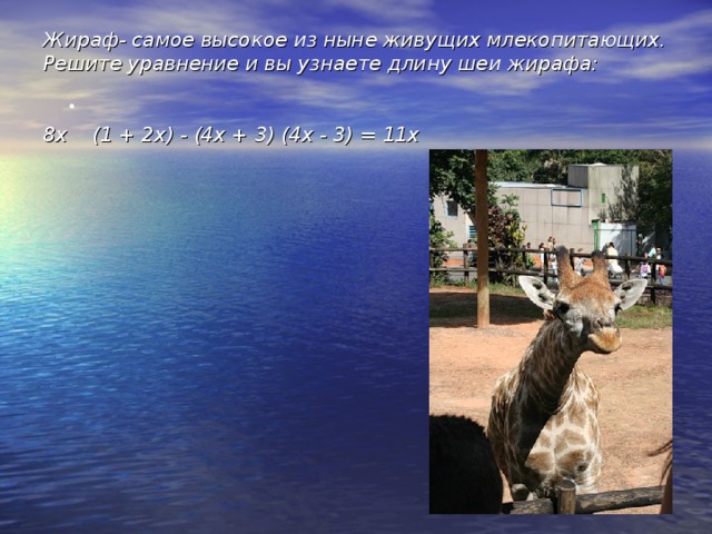 Жираф- самое высокое из ныне живущих млекопитающих. Решите уравнение и вы узнаете длину шеи жирафа:   8х  (1  +  2х)  -  (4х  +  3) (4х  -  3)  =  11х