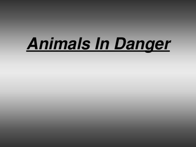Animals In Danger