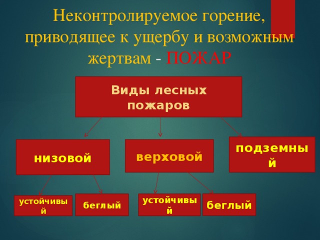 Неконтролируемое горение, приводящее к ущербу и возможным жертвам - ПОЖАР   Виды лесных пожаров подземный низовой верховой беглый беглый устойчивый устойчивый