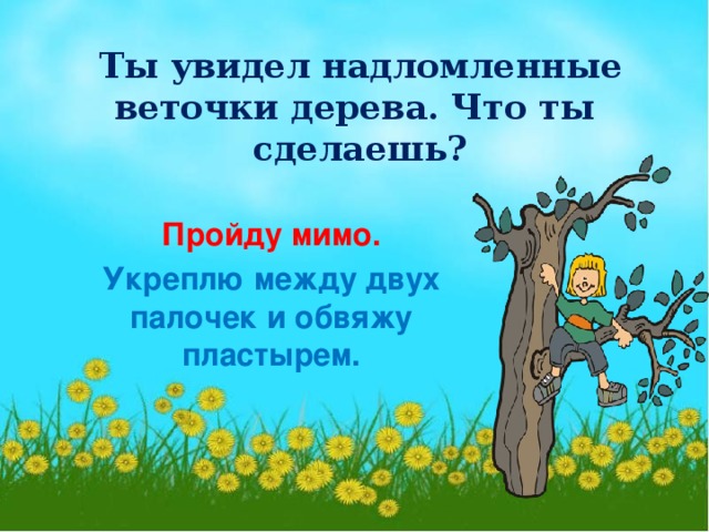 Ты увидел надломленные веточки дерева. Что ты  сделаешь? Пройду мимо. Укреплю между двух палочек и обвяжу пластырем.