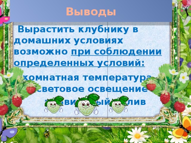 Выводы   Вырастить клубнику в домашних условиях возможно при соблюдении определенных условий:   комнатная температура световое освещение  правильный полив  